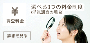 選べる3つの料金制度(浮気調査の場合)